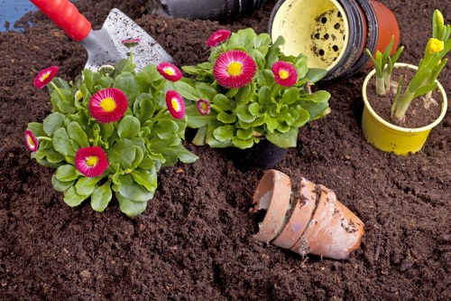 Garden care in Barnehurst with a local, professional touch