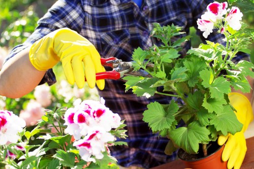 Annual review of ethical labour standards at Gardeners Barnehurst