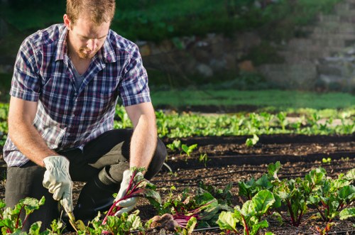 Experienced gardeners in Barnehurst pruning and shaping shrubs