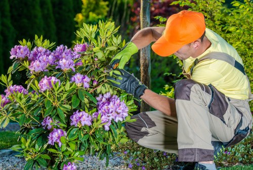 Charity donation of reusable garden items and outdoor materials