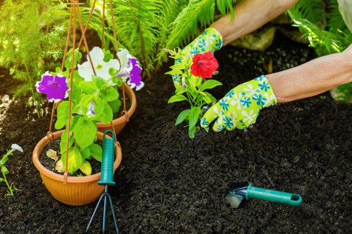 Illustration representing Gardeners Barnehurst cookie policy introduction