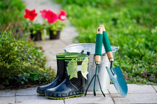Professional lawn maintenance for Barnehurst homes