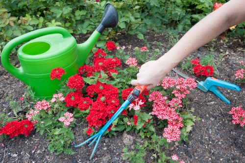 Front garden landscape gardening features in Barnehurst
