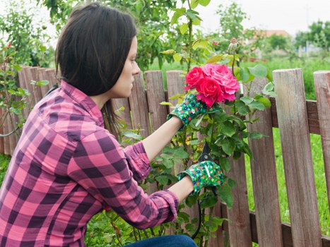 Planning a landscaping project in Barnehurst garden