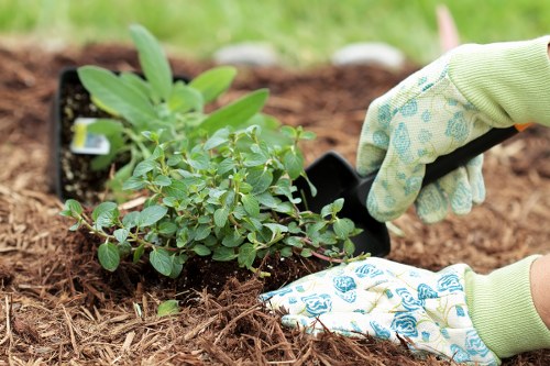 Local garden lawn mowing service in Barnehurst