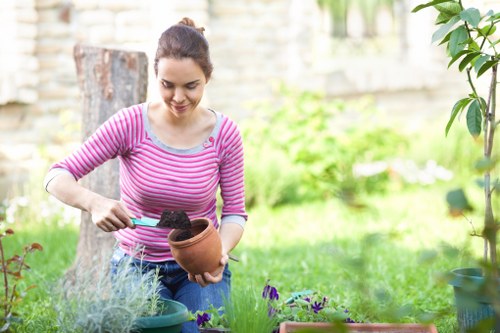 Weed control and lawn maintenance in a Barnehurst garden