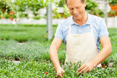 Seasonal patio cleaning and maintenance in Barnehurst