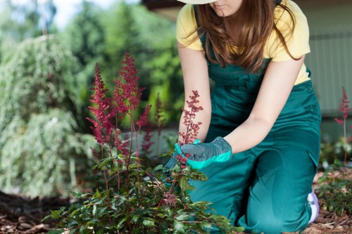 Seasonal garden care in Barnehurst with planting and leaf clearance