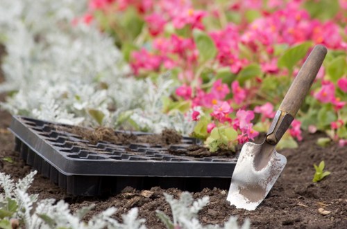 Professional Barnehurst gardeners improving garden structure