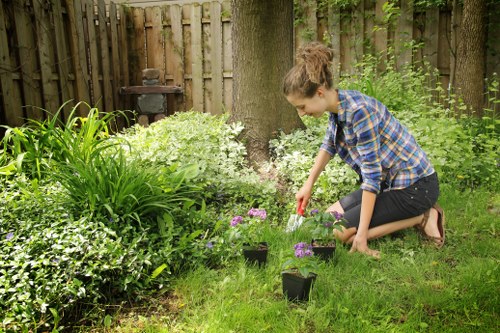 Neat grass cutting in a Barnehurst backyard