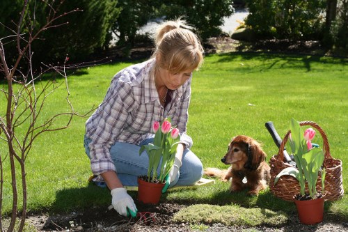 Garden maintenance worker shaping a hedge in Barnehurst