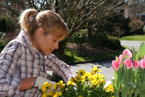 Low-maintenance landscaping in Barnehurst with modern materials