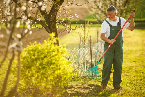 Professional hedge cutting for a suburban boundary hedge