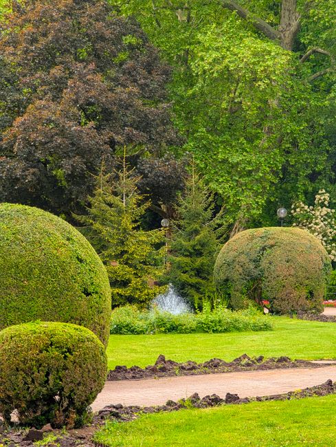 A well-maintained garden featuring lush, vibrant green grass in the foreground, bordered by a narrow pathway with freshly turned dark soil along its edges. To the left and right, there are neatly trim