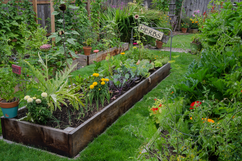 garden care Garden
